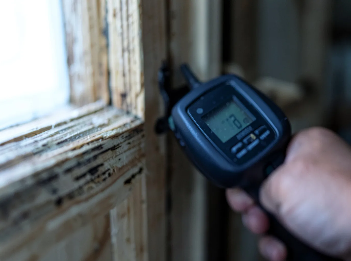 Moisture Inspection And Documentation in Forest City, IA